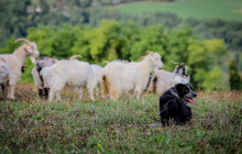 Arcadia Emme Viaggi srl12