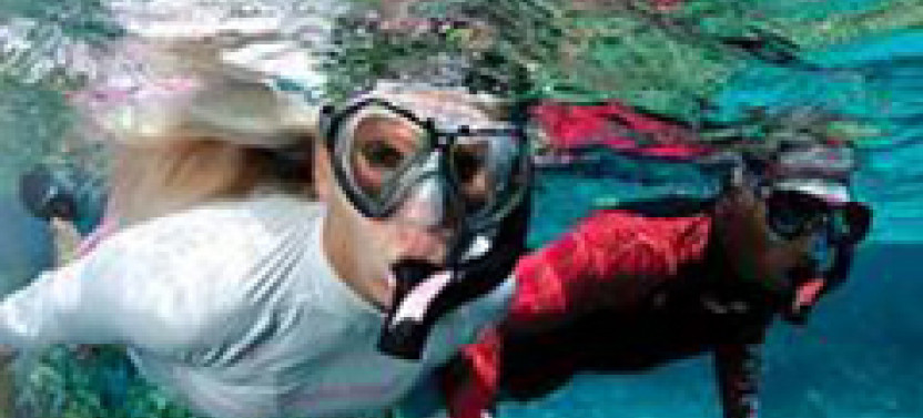 Guided Snorkel Tour