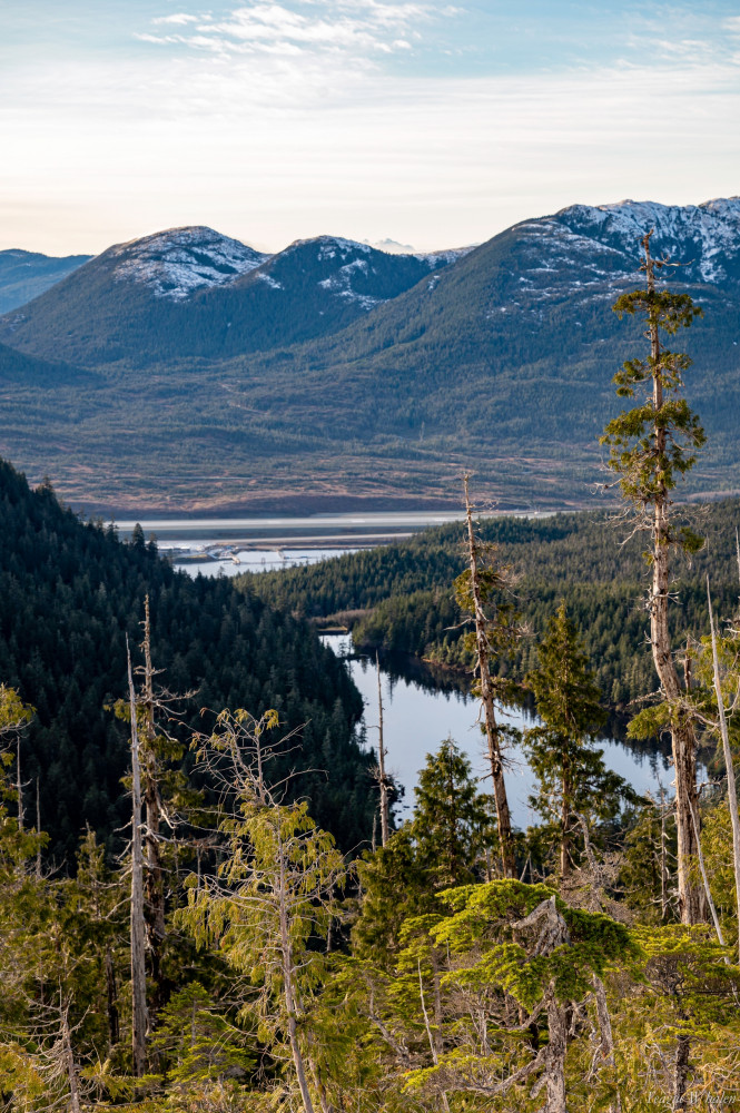 Private Ketchikan Mountain Lake Extended Trek to Alpine Overlook