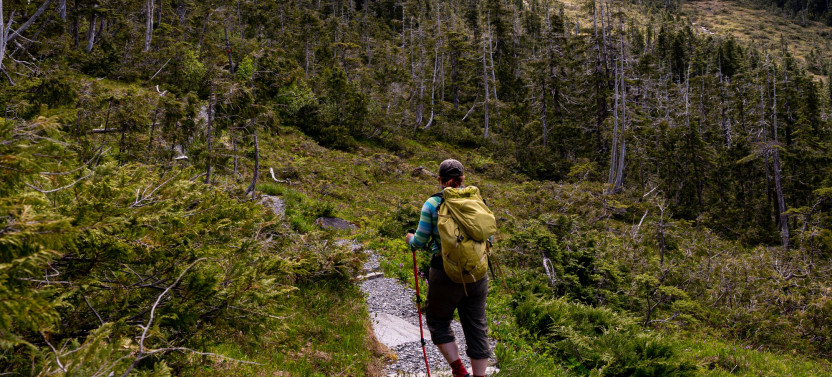 Private Ketchikan Mountain Lake Extended Trek to Alpine Overlook