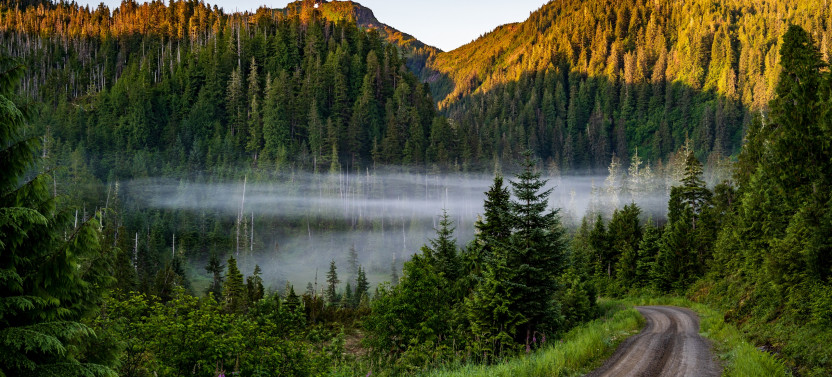 Ketchikan Backcountry Adventure: SUV Tours in the Tongass