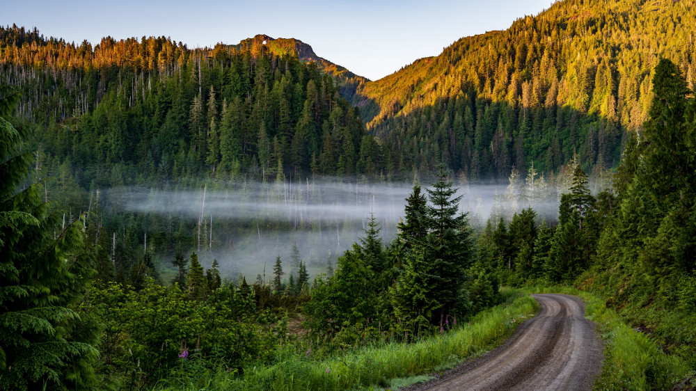 Ketchikan Backcountry Adventure: SUV Tours in the Tongass