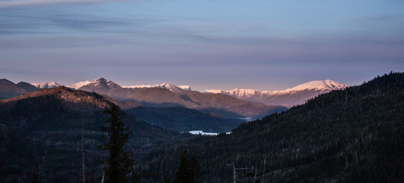 Ketchikan Backcountry Adventure: SUV Tours in the Tongass