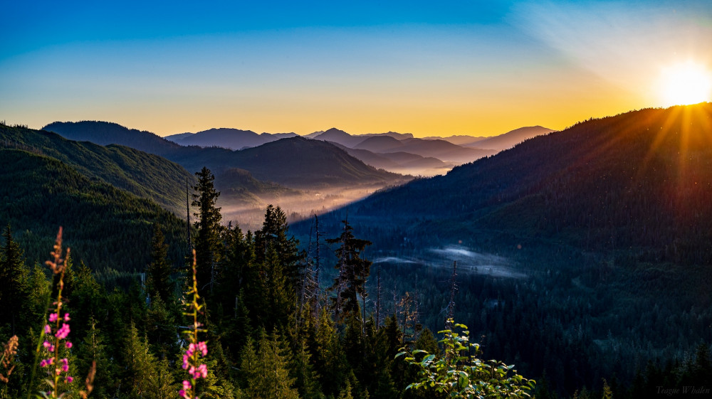 Tongass Teague LLC