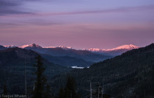 Tongass Teague LLC1