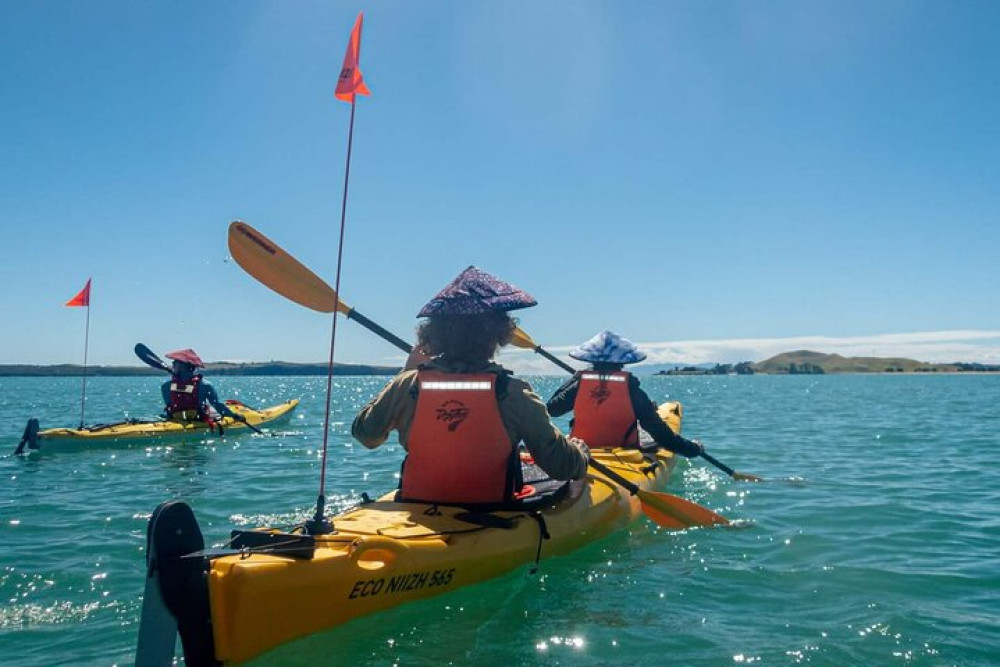 Waiheke Island 2-Day Sea Kayak Tour