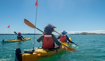 A picture of Waiheke Island 2-Day Sea Kayak Tour