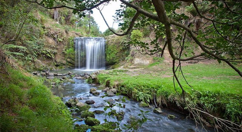 Auckland Waterfalls Tour