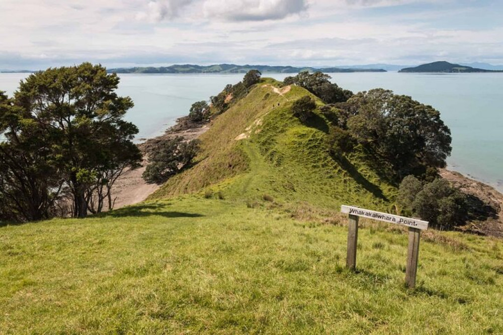 Duder Regional Park Half Day Walking Tour