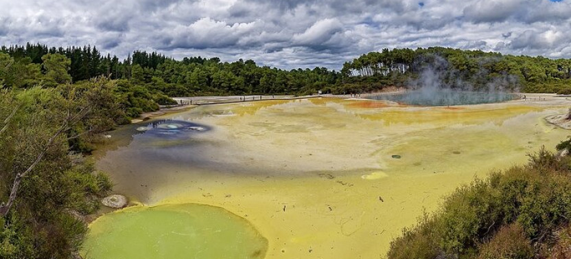 Private Luxury Auckland-Rotorua Geothermal Wonderlands