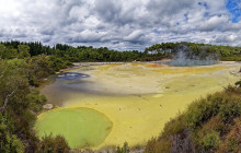 Social Nature Movement2