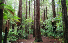 Social Nature Movement3