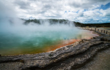 Social Nature Movement4