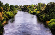 Social Nature Movement5