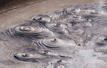 Social Nature Movement6