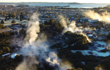 Social Nature Movement9