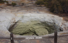 Social Nature Movement10