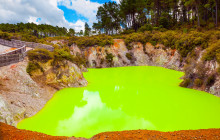 Social Nature Movement13