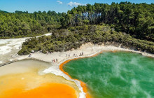 Social Nature Movement15