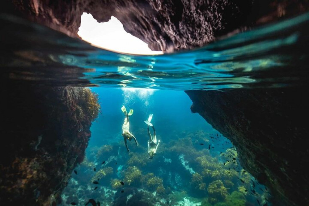 Guided Snorkeling and Island Exploration in Auckland