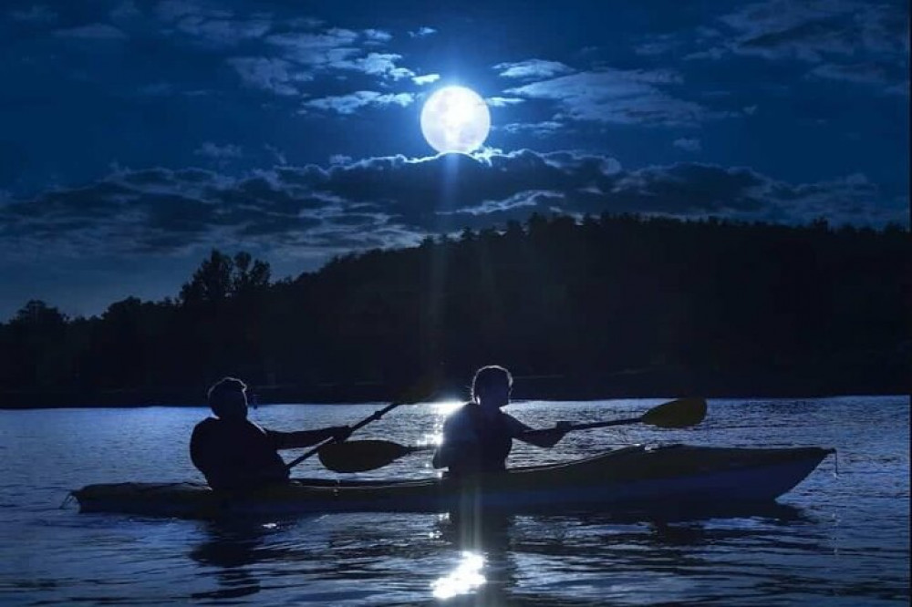 Full Moon Tour in Auckland