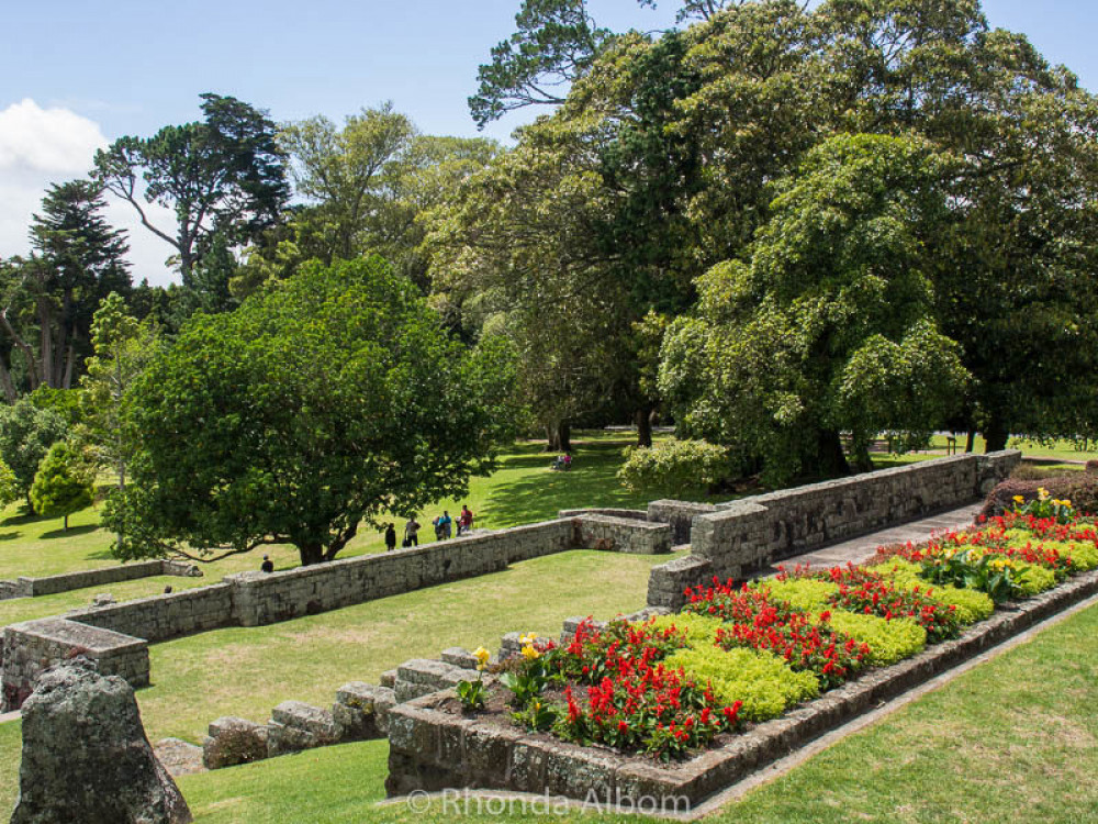 Auckland's Ultimate Garden and Sculpture Extravaganza: A Day Trip Delight