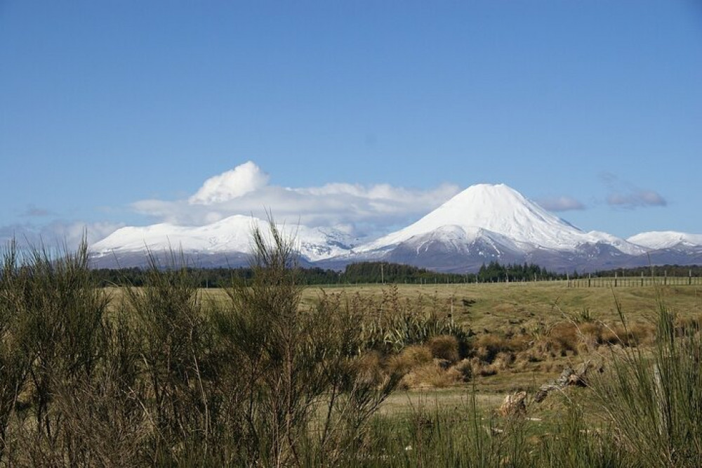 Overnight Tongariro National Park Northern Explorer Train and Snowshoeing