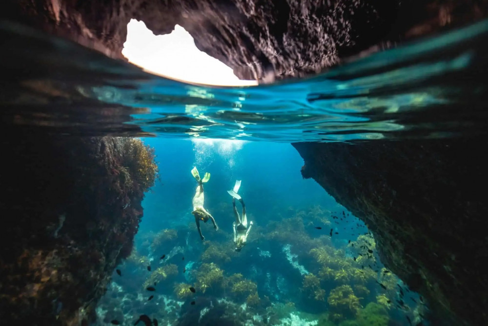 Private Auckland Guided Snorkelling and Island Exploration Tour