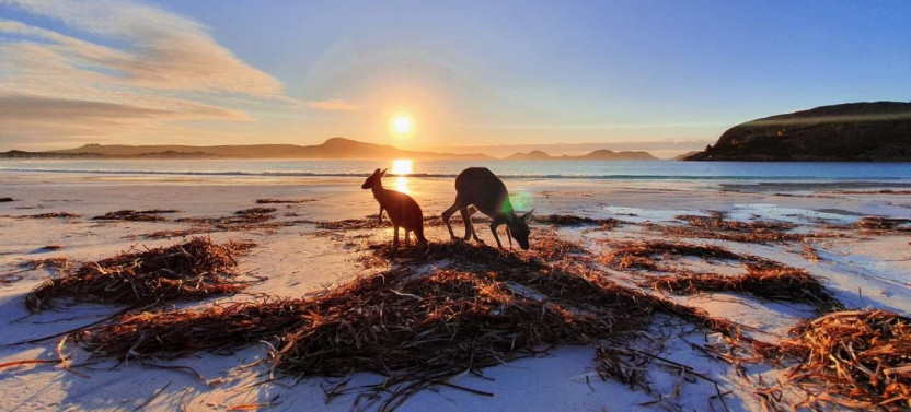 10 Day Perth to Adelaide Adventure Tour