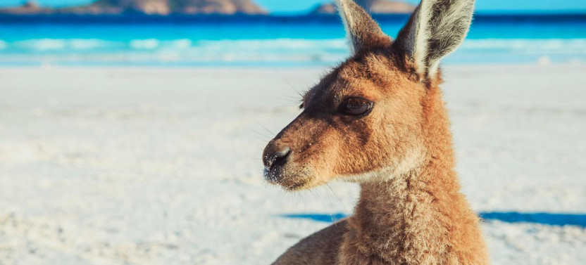 10 Day Adelaide to Perth Adventure Tour