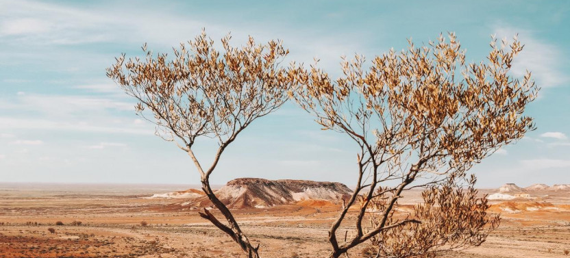 7 Day Uluru to Adelaide Tour