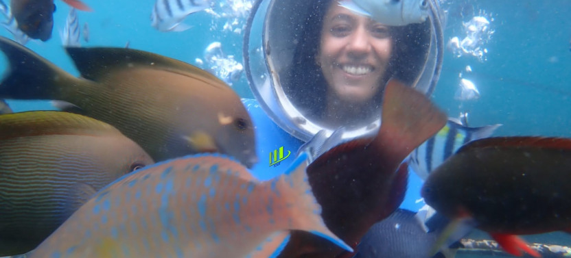 Half Day Private Water Activities Banana Boat, Jet Sky, Fly Fish And Sea Walk Package