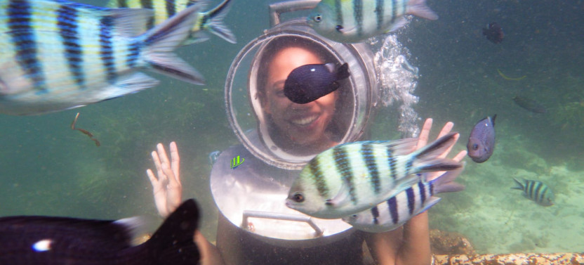 Half Day Private Water Activities Banana Boat, Jet Sky, Fly Fish And Sea Walk Package