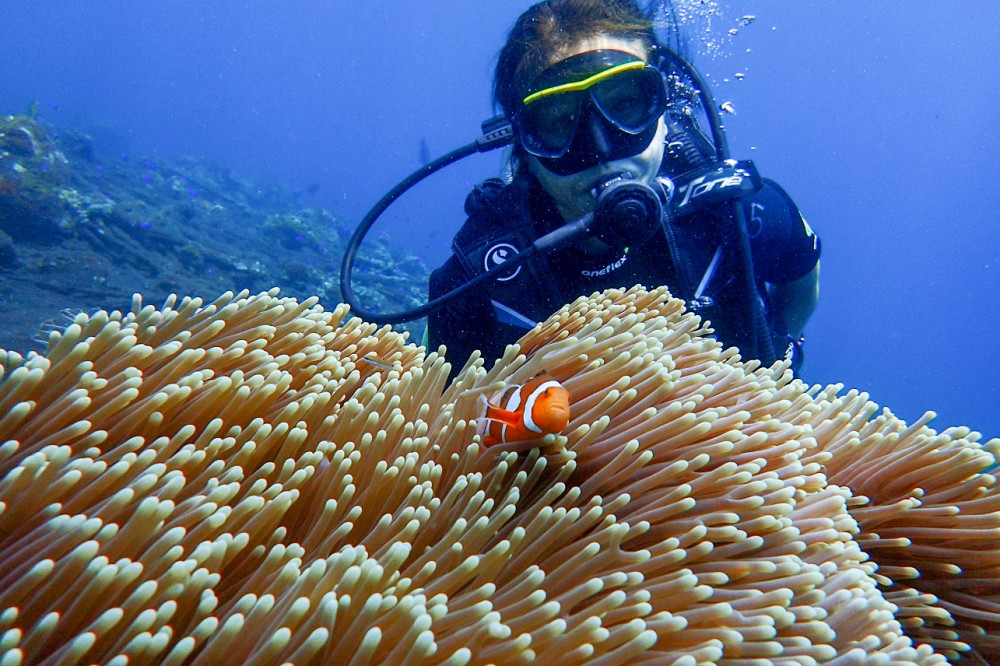 Private Tulamben Fun Dive For Certified Diver At Shipwreck And Coral Garden