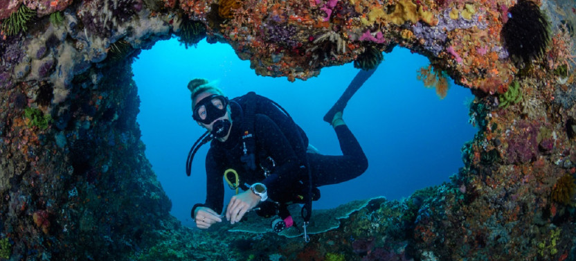 Private Tulamben Fun Dive For Certified Diver At Shipwreck And Coral Garden