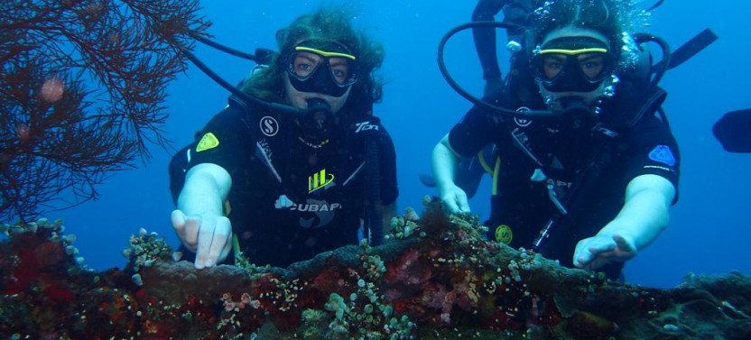 Private 8 Hours Guided Experience Dive In Tulamben