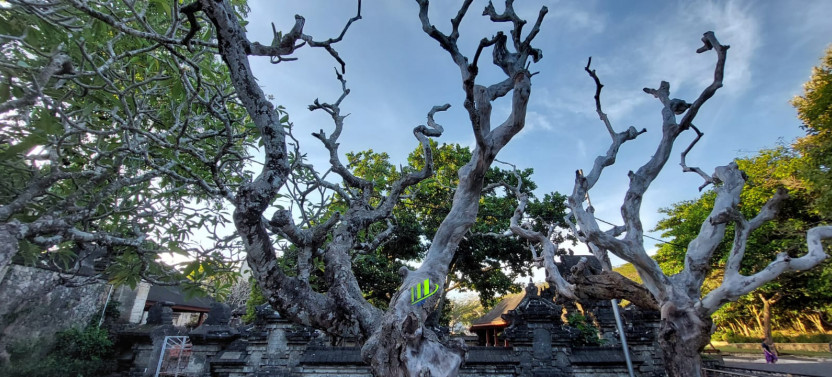 Sunset Uluwatu Private Tour And Kecak Fire Dance Performance