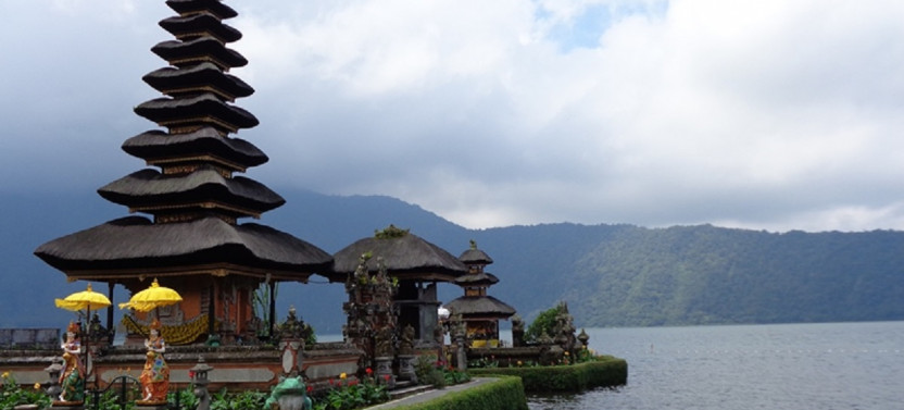 Private Tour: Customizable 10 hour Tour with Bali Driver