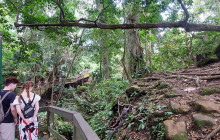 Master Bali Tour3