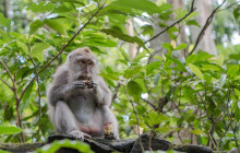Master Bali Tour11