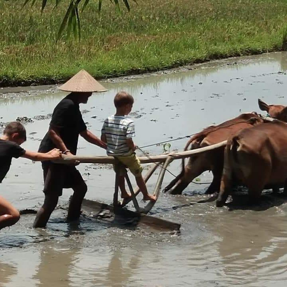 Private Experience Local Life Tour In Traditional Balinese Village