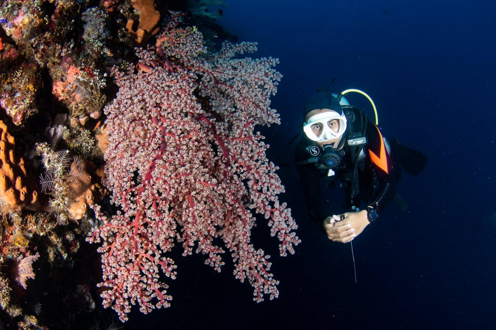 Discover Scuba Diving at the USAT Liberty Wreck in Tulamben Bali