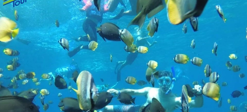 Manta Bay And Diamond Beach Private Snorkeling Tour With Lunch