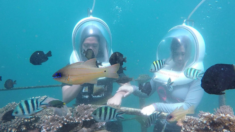 Private Sea Walker Activity In Nusa Dua