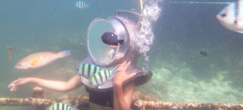 Half Day Guided Underwater Sea Walk Experience In Nusa Dua