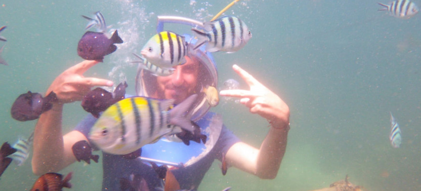 Half Day Guided Underwater Sea Walk Experience In Nusa Dua