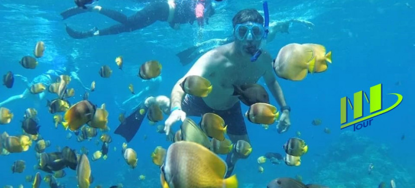 Private Manta Bay Snorkeling Adventure With Kelingking Beach Nusa Penida