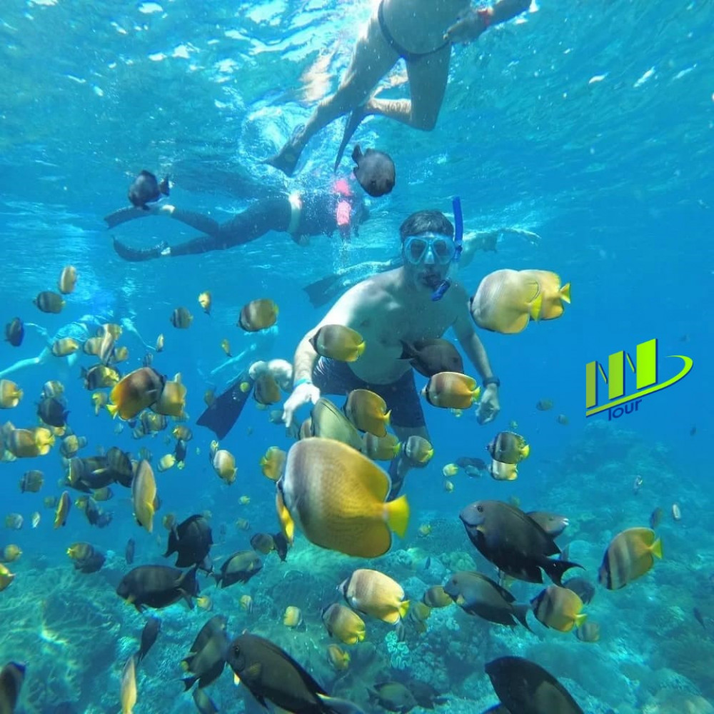 Master Bali Tour
