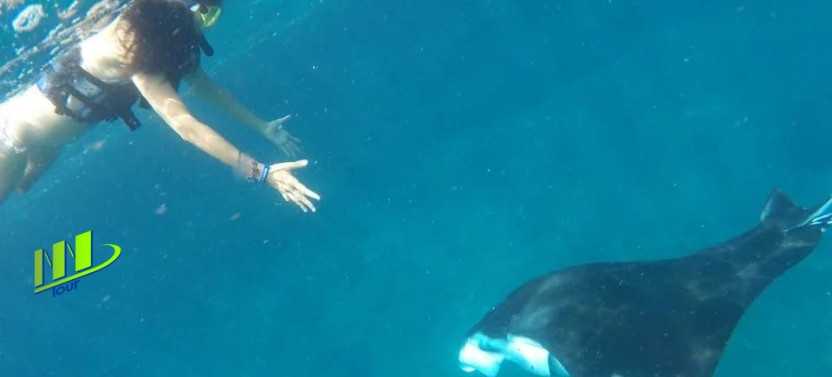 Private Manta Bay Snorkeling Adventure With Kelingking Beach Nusa Penida