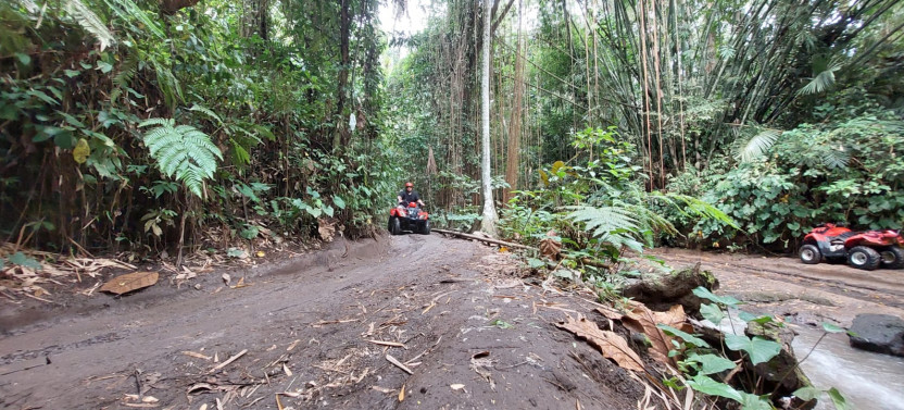 Full Day Private Experience ATV Drive And Bali Swing In Ubud